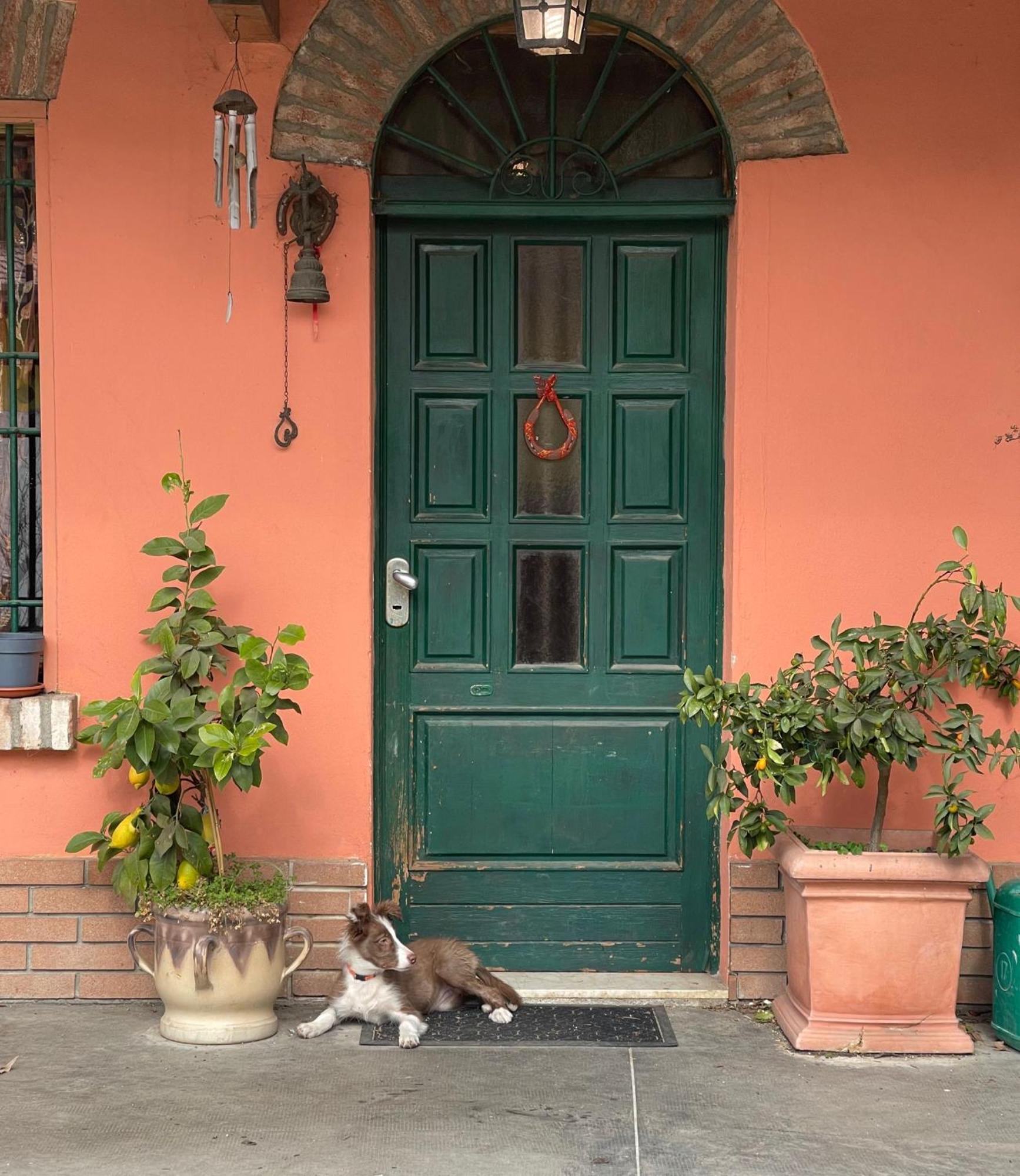 B&B La Cascina Di Alice Castiglione Delle Stiviere Eksteriør bilde